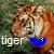 Dieren Tijgers Icon plaatjes 