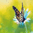 Dieren Vlinders Icon plaatjes 