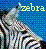 Dieren Zebra Icon plaatjes 