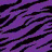 Dieren Zebra Icon plaatjes 
