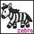 Dieren Zebra Icon plaatjes 