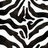 Dieren Zebra Icon plaatjes 