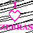 Dieren Zebra Icon plaatjes 