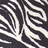 Dieren Zebra Icon plaatjes 