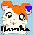 Hamtaro Icon plaatjes Film serie 