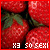 Aardbeien Icons Icon plaatjes 