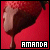 Aardbeien Icons Icon plaatjes 
