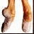 Ballet Icons Icon plaatjes 