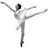 Ballet Icons Icon plaatjes 