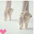 Ballet Icons Icon plaatjes 