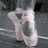 Ballet Icons Icon plaatjes 