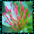 Bloemen Icons Icon plaatjes 