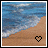 Bloemen Icons Icon plaatjes 