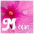 Bloemen Icons Icon plaatjes 