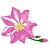 Bloemen Icons Icon plaatjes 