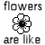 Bloemen Icons Icon plaatjes 