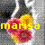 Bloemen Icons Icon plaatjes 
