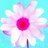Bloemen Icons Icon plaatjes 