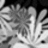 Bloemen Icons Icon plaatjes 