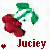 Kersen Icons Icon plaatjes 