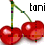 Kersen Icons Icon plaatjes 
