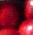 Kersen Icons Icon plaatjes 