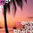 Icons Icon plaatjes Palm boom 