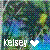 Icons Icon plaatjes Palm boom 