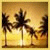 Icons Icon plaatjes Palm boom 