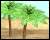 Icons Icon plaatjes Palm boom 