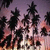 Icons Icon plaatjes Palm boom 
