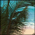 Icons Icon plaatjes Palm boom 