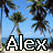 Icons Icon plaatjes Palm boom 