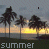 Icons Icon plaatjes Palm boom 