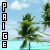 Icons Icon plaatjes Palm boom 