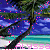 Icons Icon plaatjes Palm boom 