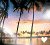 Icons Icon plaatjes Palm boom Palmbomen Ondergaande Zon