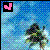 Icons Icon plaatjes Palm boom 