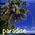 Icons Icon plaatjes Palm boom 