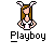 Playboy Icons Icon plaatjes 