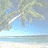 Strand Icons Icon plaatjes 