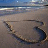 Strand Icons Icon plaatjes 