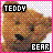 Icons Icon plaatjes Teddyberen 