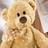 Icons Icon plaatjes Teddyberen 