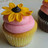 Zonnebloem Icons Icon plaatjes Cupcakes