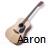 Icon plaatjes Naam icons Aaron Aaron Icon Met Gitaar