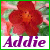 Icon plaatjes Naam icons Addie 