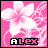 Icon plaatjes Naam icons Alex 