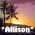Icon plaatjes Naam icons Allison 