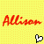 Icon plaatjes Naam icons Allison 
